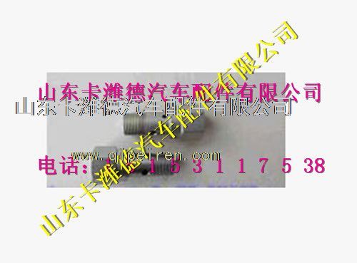 2469403530,濰柴天然氣發(fā)動(dòng)機(jī)溢流閥,山東卡濰德汽車配件有限公司