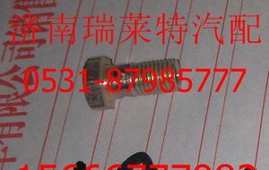 190003962607,,濟南瑞萊特汽車零部件有限公司