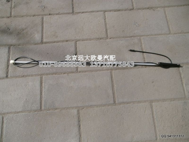 1B24979100040,天線總成,北京遠大歐曼汽車配件有限公司