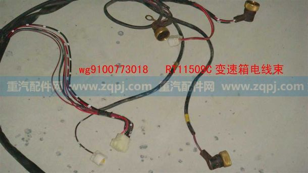 WG9100773018