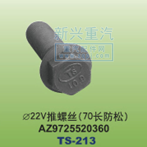 AZ9725520360,￠22V推螺絲70長(zhǎng)防松,晉江新興螺絲有限公司