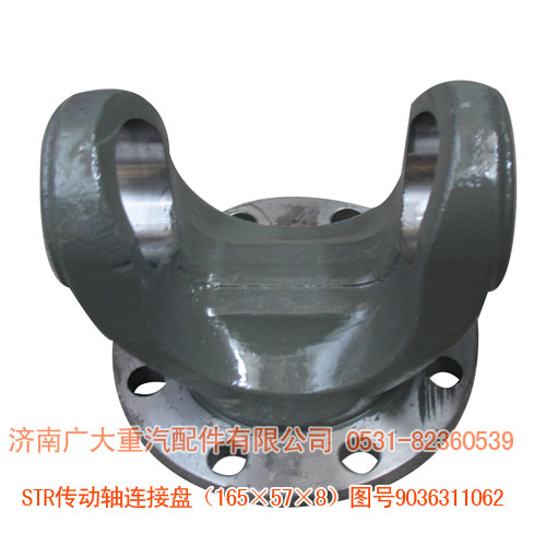 9036311062,STR傳動軸連接盤165×57×8,濟南鑫巨鼎汽車配件有限公司