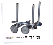 61800050068A,氣門(mén)總成 歐II,烏魯木齊三石偉業(yè)商貿(mào)有限公司（原鑫隆江泉）